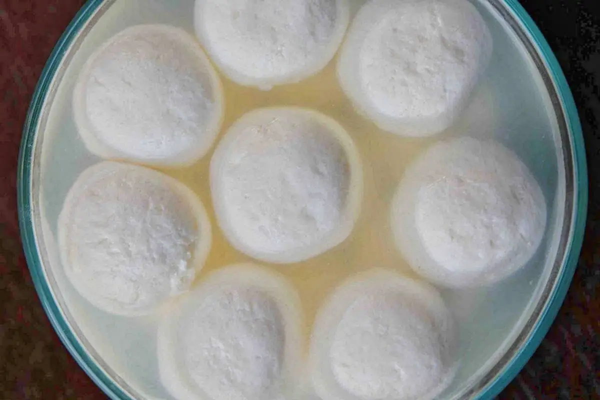 15. Roshogolla (Traditional Syrupy Sweet Dessert)