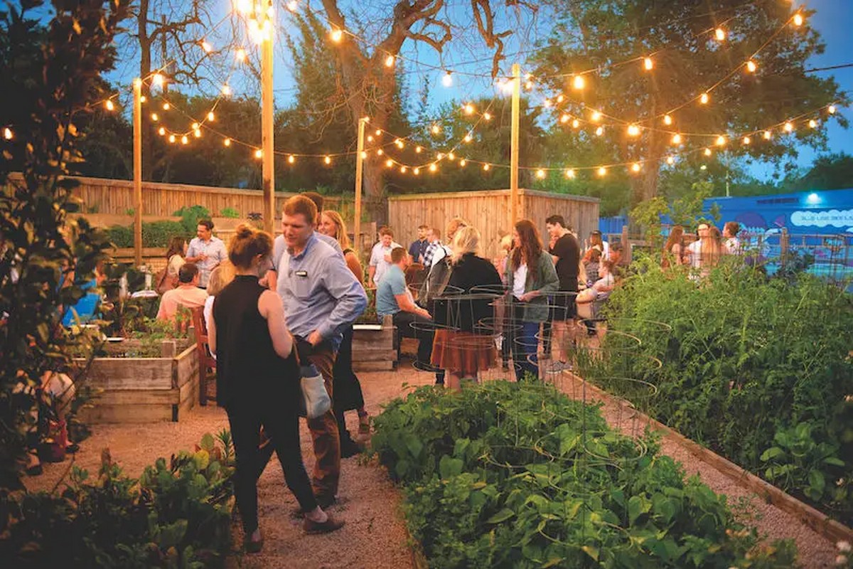 4. Coltivare Garden - Top 5 Restaurants in Houston