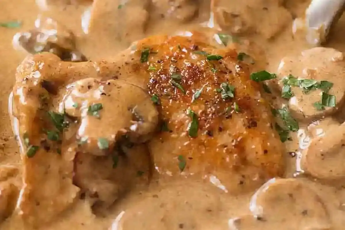 Australian Chicken Recipes - Stroganoff