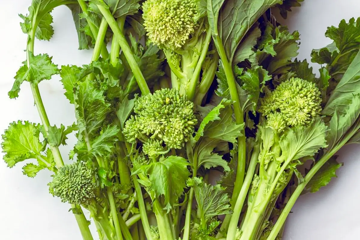 Vietnamese Broccoli Rabe Recipe