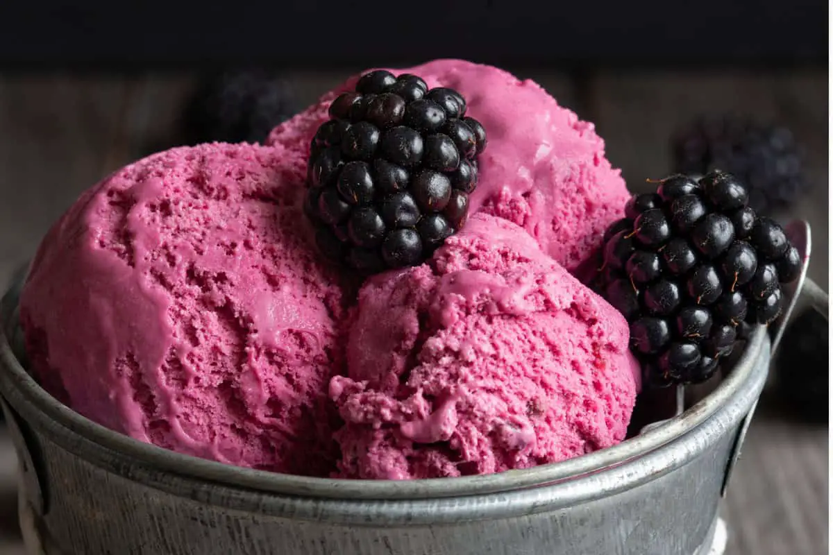 Black Raspberry Chocolate Chip Ice Cream Recipe