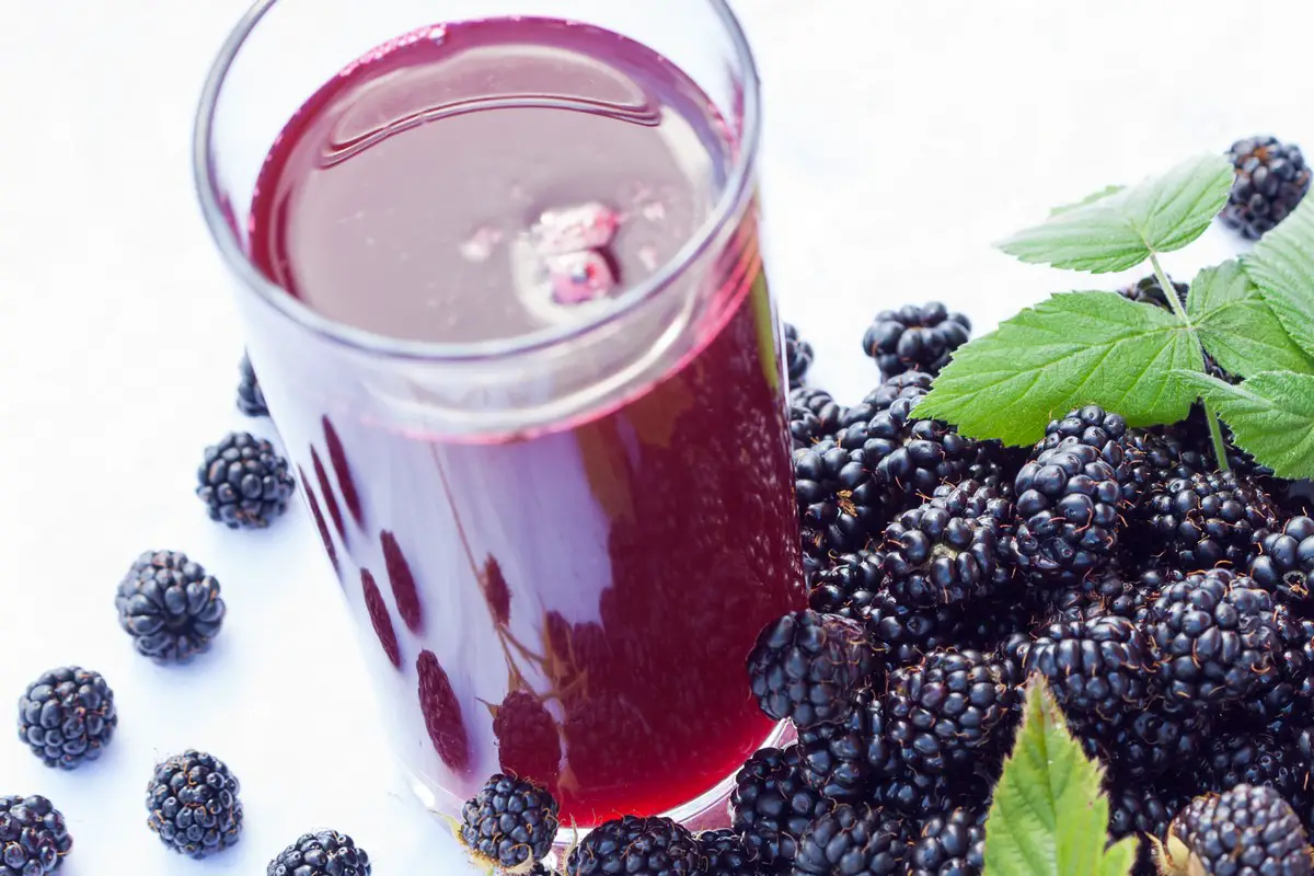 Black Raspberry Smoothie Recipe