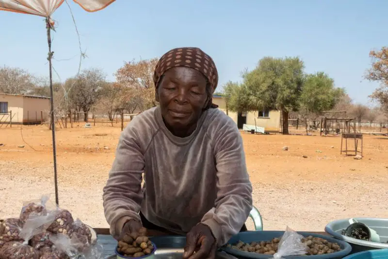 Zimbabwe Mopane Recipe