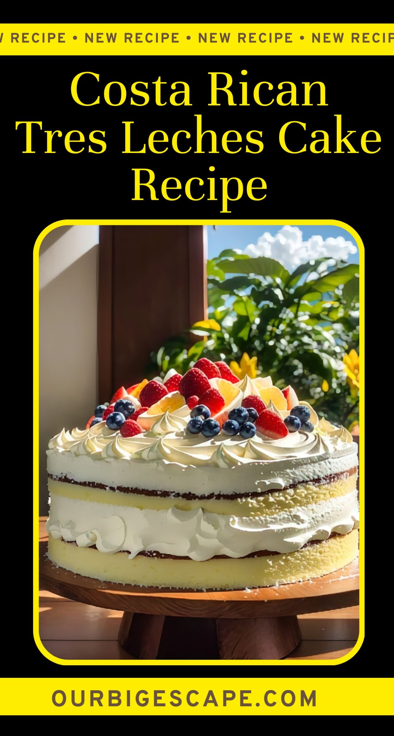 30. Costa Rican Tres Leches Cake Recipe (2)