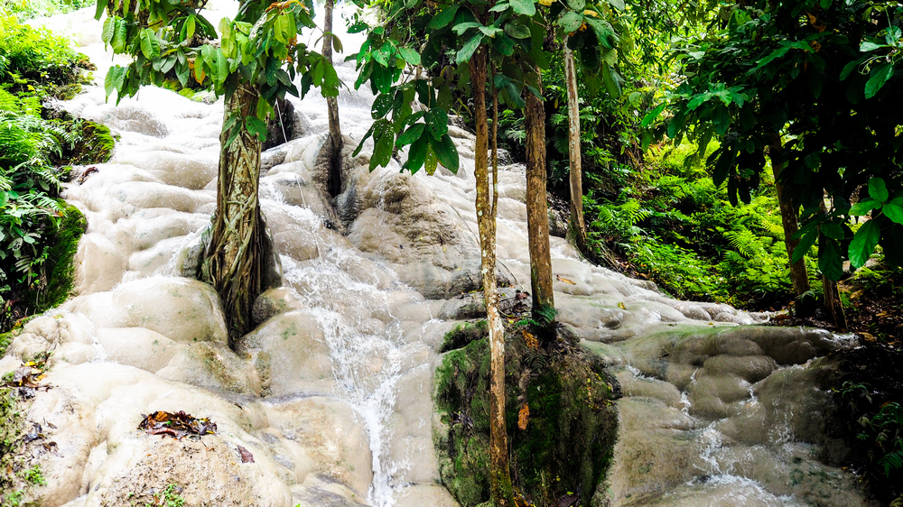 Chiang-Mai-Sticky-Waterfall-Bua-Tong-Sticky-Waterfall