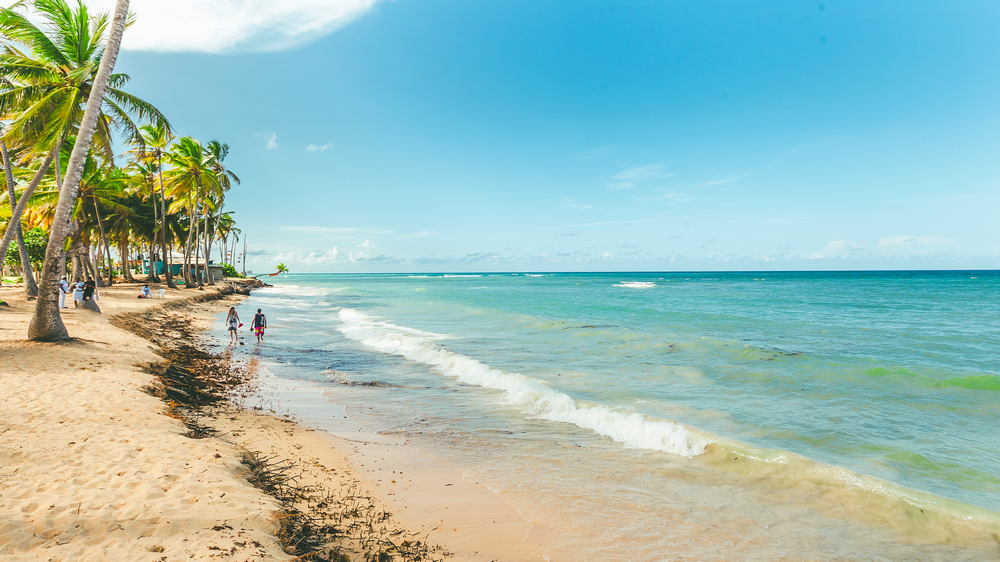 Dominica Travel Guide.